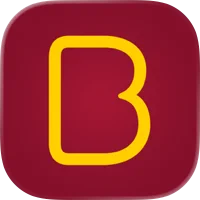 Big Bus Tours